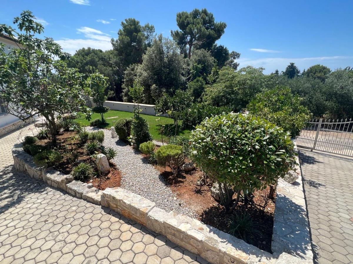 Salteria 3, Pool, Private Territory, Pinery Vila Rovinj