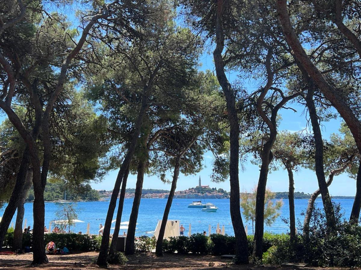 Vila Salteria 3, Pool, Private Territory, Pinery Rovinj